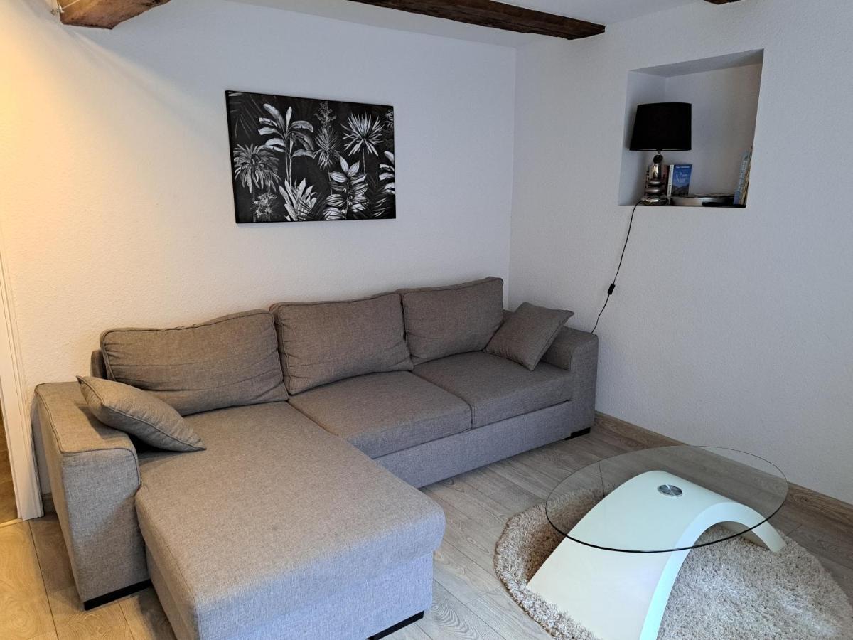 Les Colombages Apartment Colmar Luaran gambar