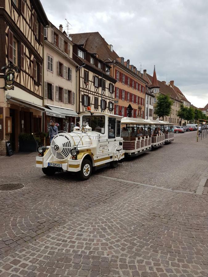 Les Colombages Apartment Colmar Luaran gambar
