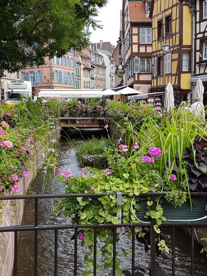 Les Colombages Apartment Colmar Luaran gambar
